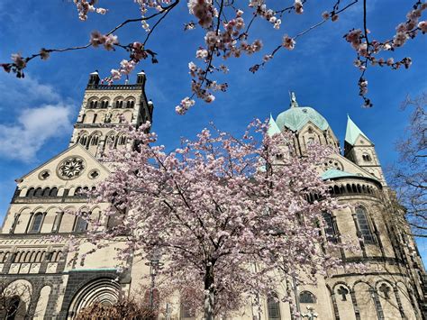 Rhein Kreis Neuss Sucht Fotos F R Den Heimatkalender