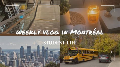 Semaine Dans Ma Vie D Tudiant Montr Al Weekly Vlog Youtube