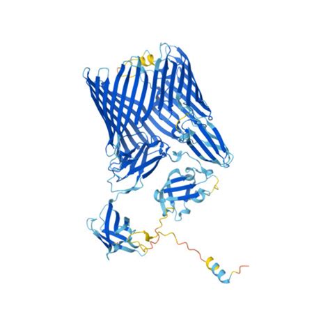 RCSB PDB AF AFP33341F1 Computed Structure Model Of Outer Membrane