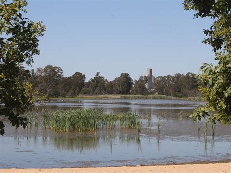 Narrabri, NSW - Aussie Towns