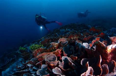 12 Tempat Wisata Di Pulau Banda Neira Yang Wajib Dikunjungi Lengkap