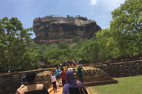 Sigiriya Dambulla Minneriya Private Full Day Tour From Kandy Viator