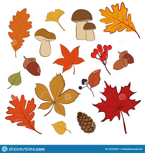 Hand Drawn Vector Illustration Set Of Autum Fall Elements Like Leaves