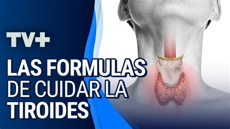 ¿cómo Podemos Cuidar La Salud De La Tiroides Youtube