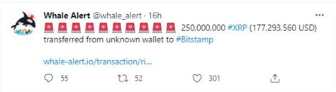 Million Xrp Transferred In One Move To Bitstamp While Xrp Holds