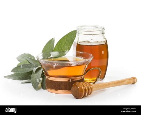 Cup Still Life Glass Chalice Tumbler Tea Leaf Object Isolated