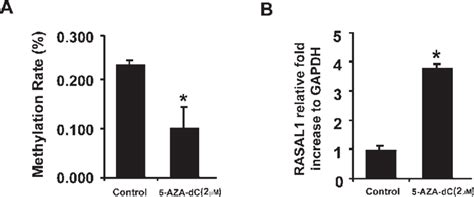 Effects Of 5 Aza Dc On Rasal1 Gene Methylation A And Expression Of Download Scientific