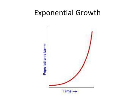 Ppt Chapter 5 Section 1 How Populations Grow Powerpoint Presentation