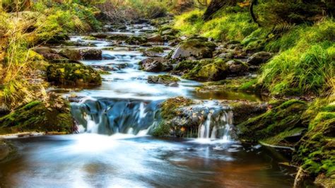 Soft Bubbling Stream One Hour Soothing Sounds Youtube