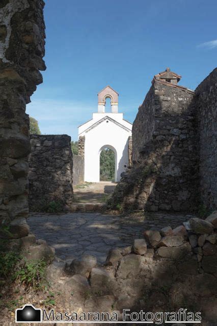 Pin on Cofradías de Jerez