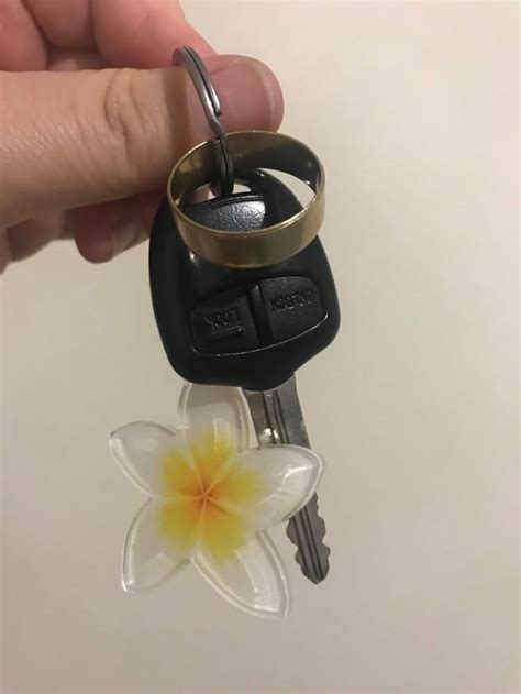 Frangipani Plumeria Tipani Keychain Etsy Canada Coisas De Carro