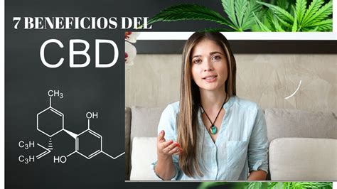 7 Beneficios Del Aceite De Cbd Cannabiz Collective