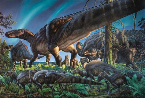 New Duck Billed Dinosaur Found In Alaska Researchers Say Update