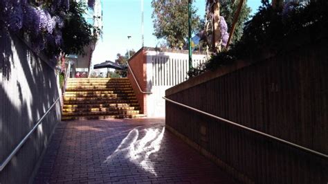 electrolight special lighting effects   daytime