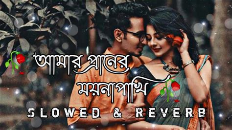 আমর পরনর মযন পখ Amer Praner Moina Pakhi Lofi slowed reverb