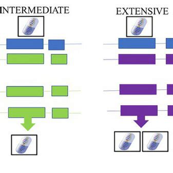 Schematic Representation Of Adjusting Dose For Each Patient S Genotype