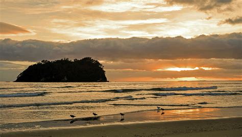 Mount Maunganui Sunrise by Steve Clancy Photography