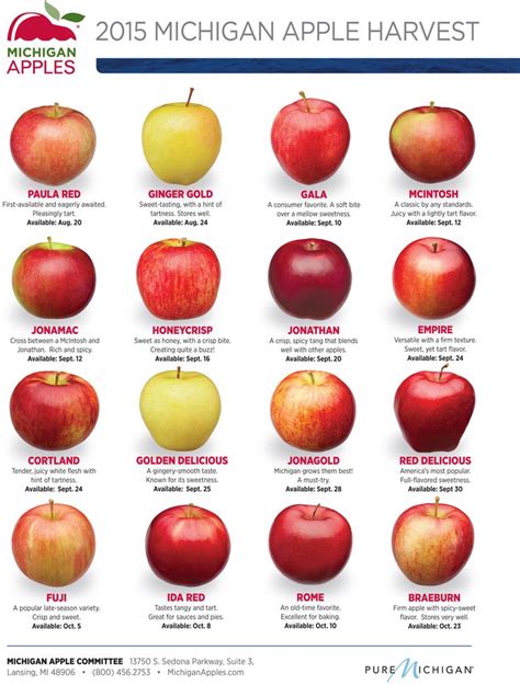 18 best Michigan Apple Varieties images on Pinterest | Apple varieties ...