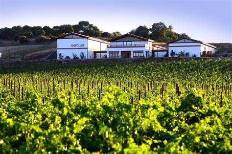 Vetus Primera Bodega De La DO Toro En Lograr El Sello Wineries For