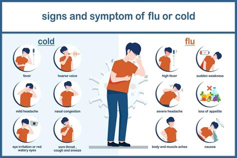 vector illustrations  cold  flu symptomsinfographic  difference