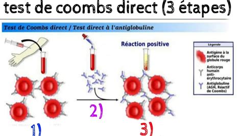 Test De Coombs Direct Youtube