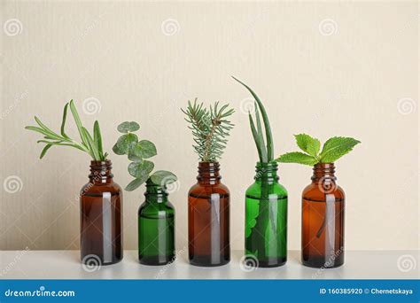 Glass Bottles Of Different Essential Oils With Plants Stock Photo