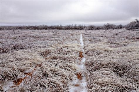 winter - ice storm - Wilder Good