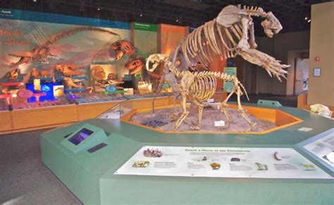 Mississippi Museum of Natural Science - Visit Mississippi