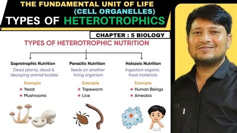 Heterotrophs - Life Processes | Class 10 Science | Heterotrophics - YouTube