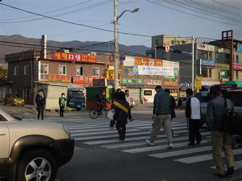 포천시 선단동 주민자치센터 43번국도 교통개선 자원봉사 포천신문