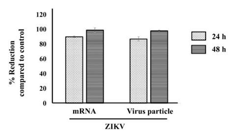 Ifi16 Exerts Its Antiviral Activity To Zikv Infection In Hff1 Cells