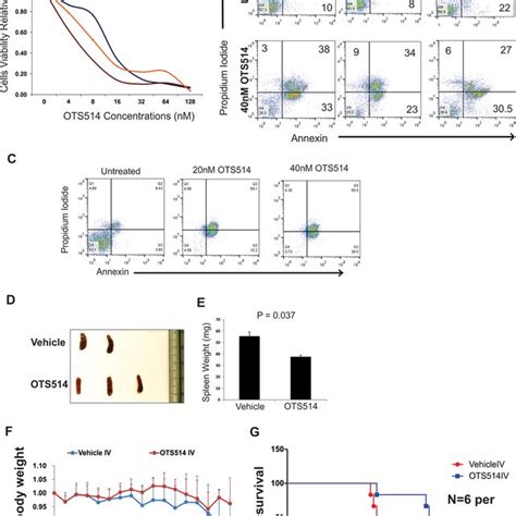 Topk Is Activated In Flt3 Itd Positive In Aml Cells A Mv4 11 Cells