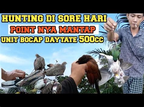 Nyangon Burung Kutilang Di Sore Hari Poin Nya Mantap Bosqq Dengan Unit