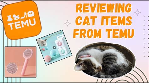 Reviewing The Cat Items I Bought On Temu Youtube