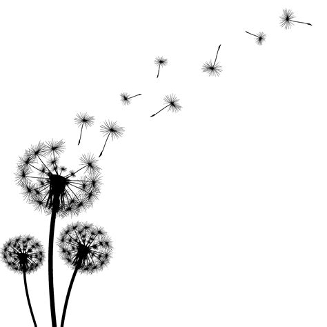 Dandelion Blowing Transparent File Png Play