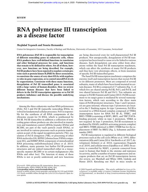 Pdf Rna Polymerase Iii Transcription As A Disease Factor