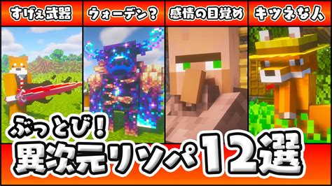 【マイクラリソパ紹介】ぶっとび！異次元リソースパック12選【minecraft】 Youtube