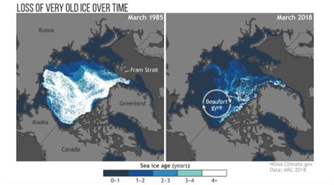 Arctic Had Second Lowest Sea Ice Coverage This Year Report