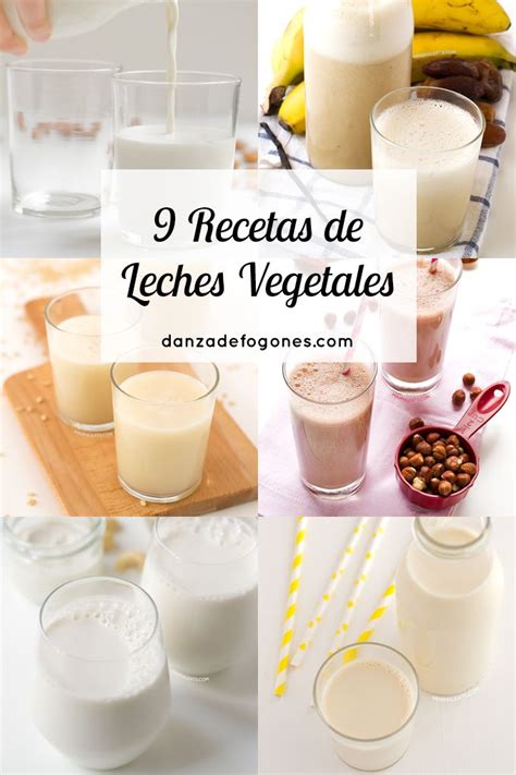 Recetas De Leches Vegetales Leche Vegetal Alimentos Bebidas