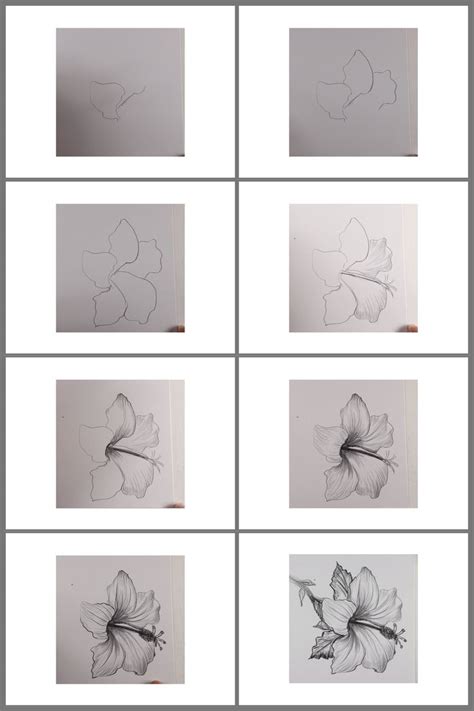 How To Draw A Flower Step By Step In 10 Minutes Drawings Flower