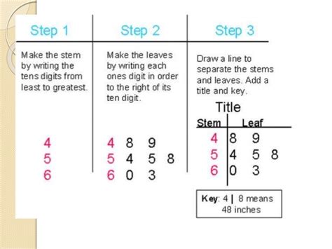 Stem Leaf And Box Plot