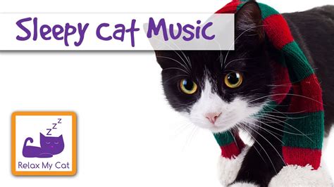 Music for Cats - Relaxing Music to Make Cats to Sleep - YouTube