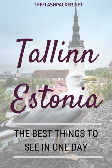 One Day In Tallinn Sightseeing Itinerary From A Cruise Stop Baltic