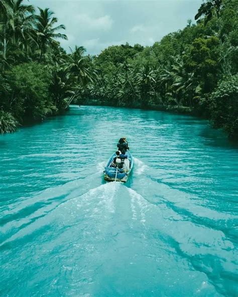 10 Panorama Sungai Maron Di Pacitan Mirip Alam Amazon Lho