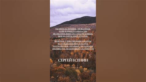 Без любви жить легче, Но без неё нет смысла. Л.Н.Толстой - YouTube