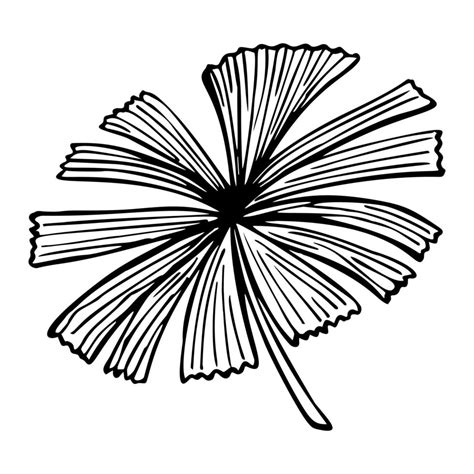 Palm leaf sketch isolated. Retro fan branch tropical plants in hand drawn style. 5680410 Vector ...