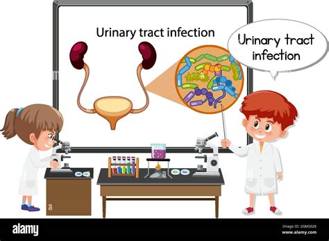 Young Doctor Explaining Urinary Tract Infection Illustration Stock