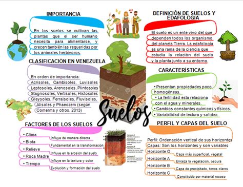 Mapa Conceptual De Los Tipos De Suelo Y Sus Caracteristicas Primeros