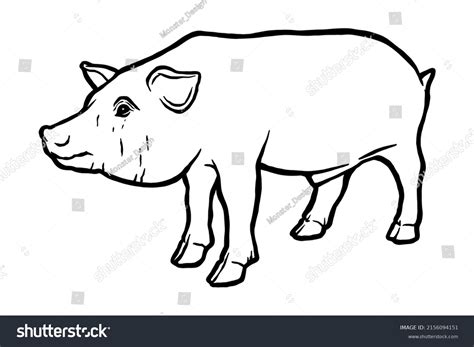 Pig Handdrawn Vector Illustration Stock Vector Royalty Free