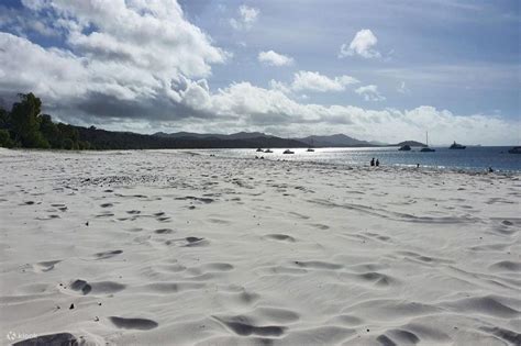 Whitsunday Islands And Whitehaven Beach Half Day Cruise From Airlie